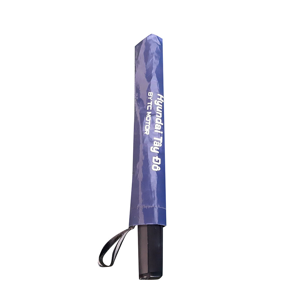 Dù cầm tay 4