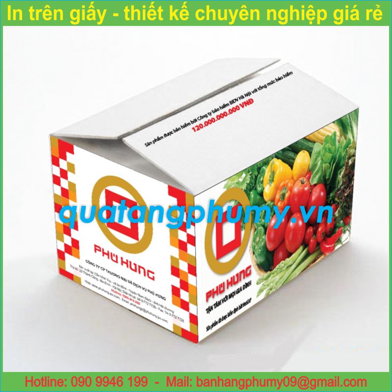 Mẫu in bao thùng Carton CT1