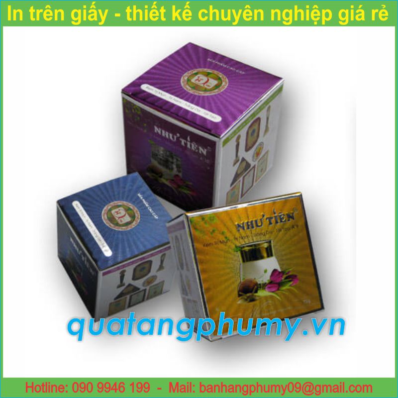 Mẫu in Hộp giấy HG2