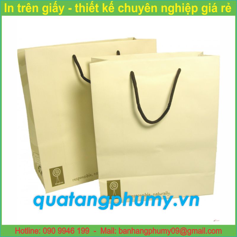 Mẫu in túi giấy TG12