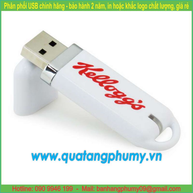 USB vỏ nhựa UP6