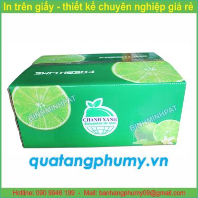 Mẫu in bao thùng Carton CT9