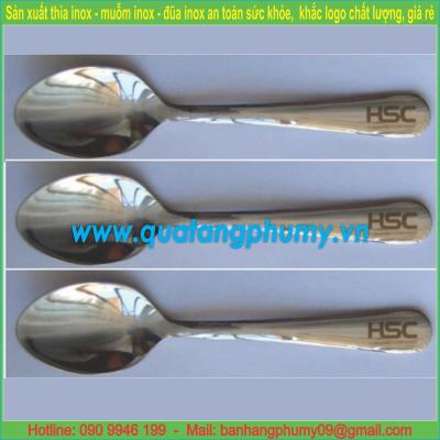 Bộ thìa inox TDD29